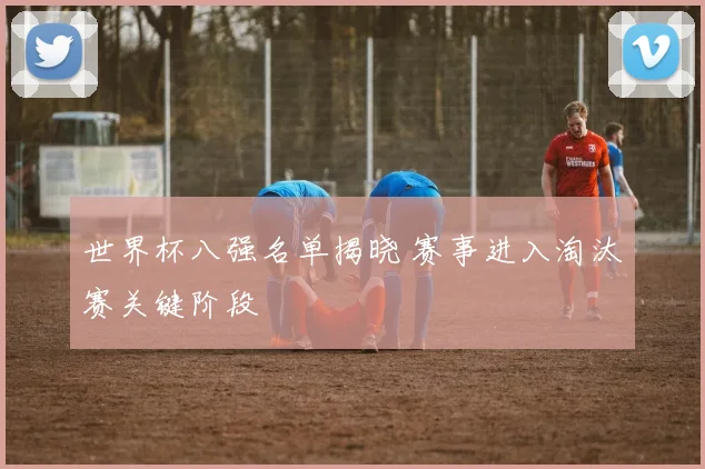 世界杯八强名单揭晓 赛事进入淘汰赛关键阶段