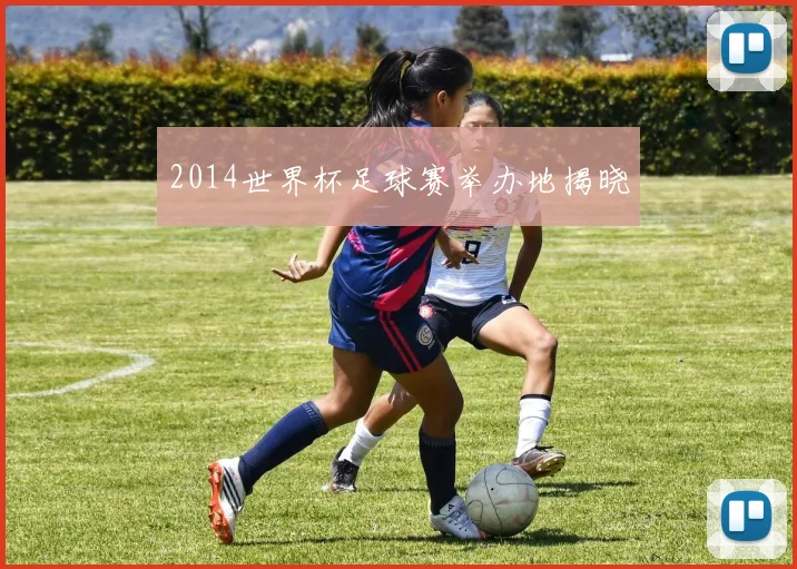 2014世界杯足球赛举办地揭晓