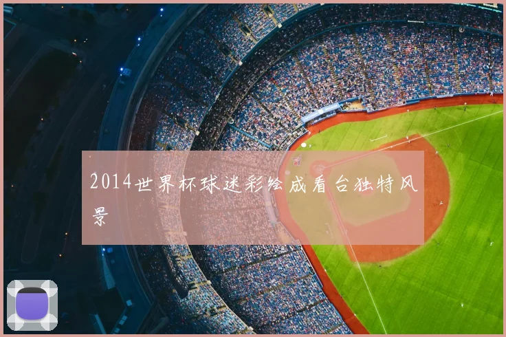 2014世界杯球迷彩绘成看台独特风景