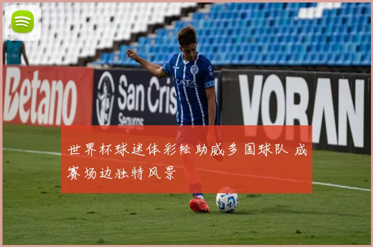 世界杯球迷体彩绘助威多国球队 成赛场边独特风景