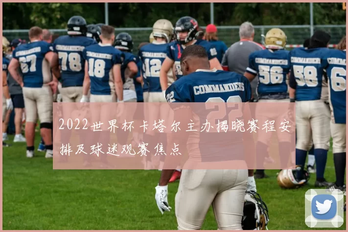 2022世界杯卡塔尔主办揭晓赛程安排及球迷观赛焦点