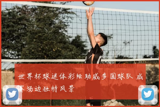 世界杯球迷体彩绘助威多国球队 成赛场边独特风景