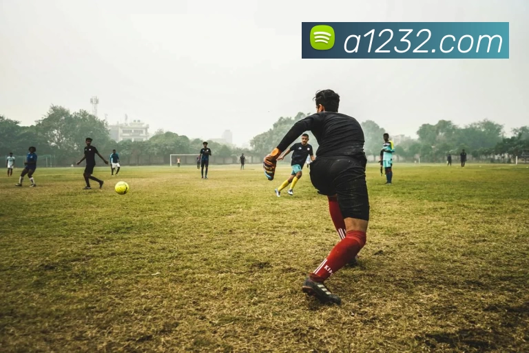 多媒体互动体验